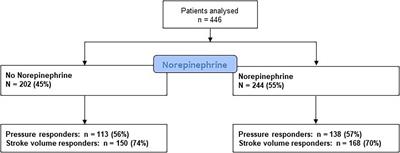 Arterial Load and Norepinephrine Are Associated With the Response of the Cardiovascular System to Fluid Expansion